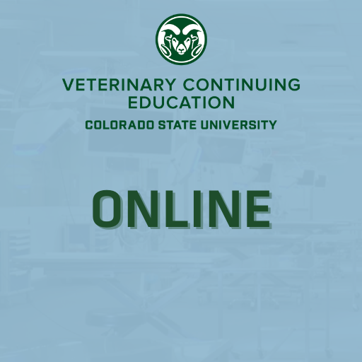 Equine Embryo Transfer Online Course Veterinary Continuing Education