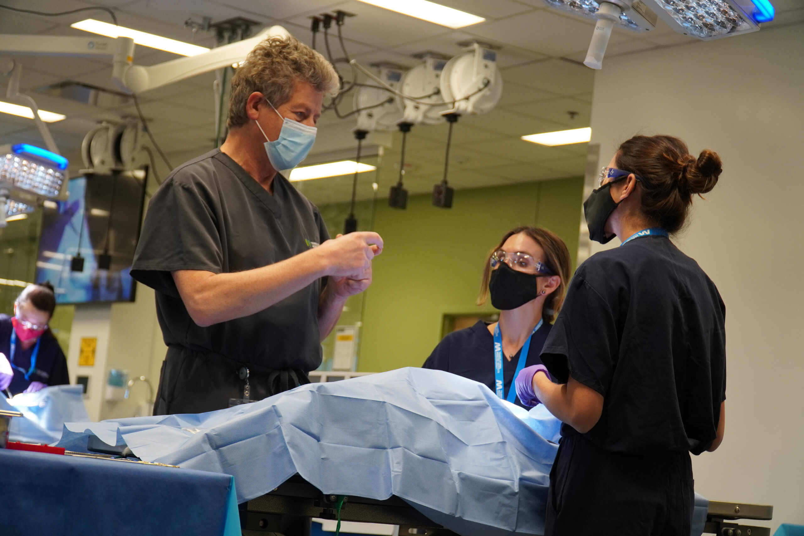  Laparoscopic Ovariectomy for Veterinarians – October 14-15, 2026