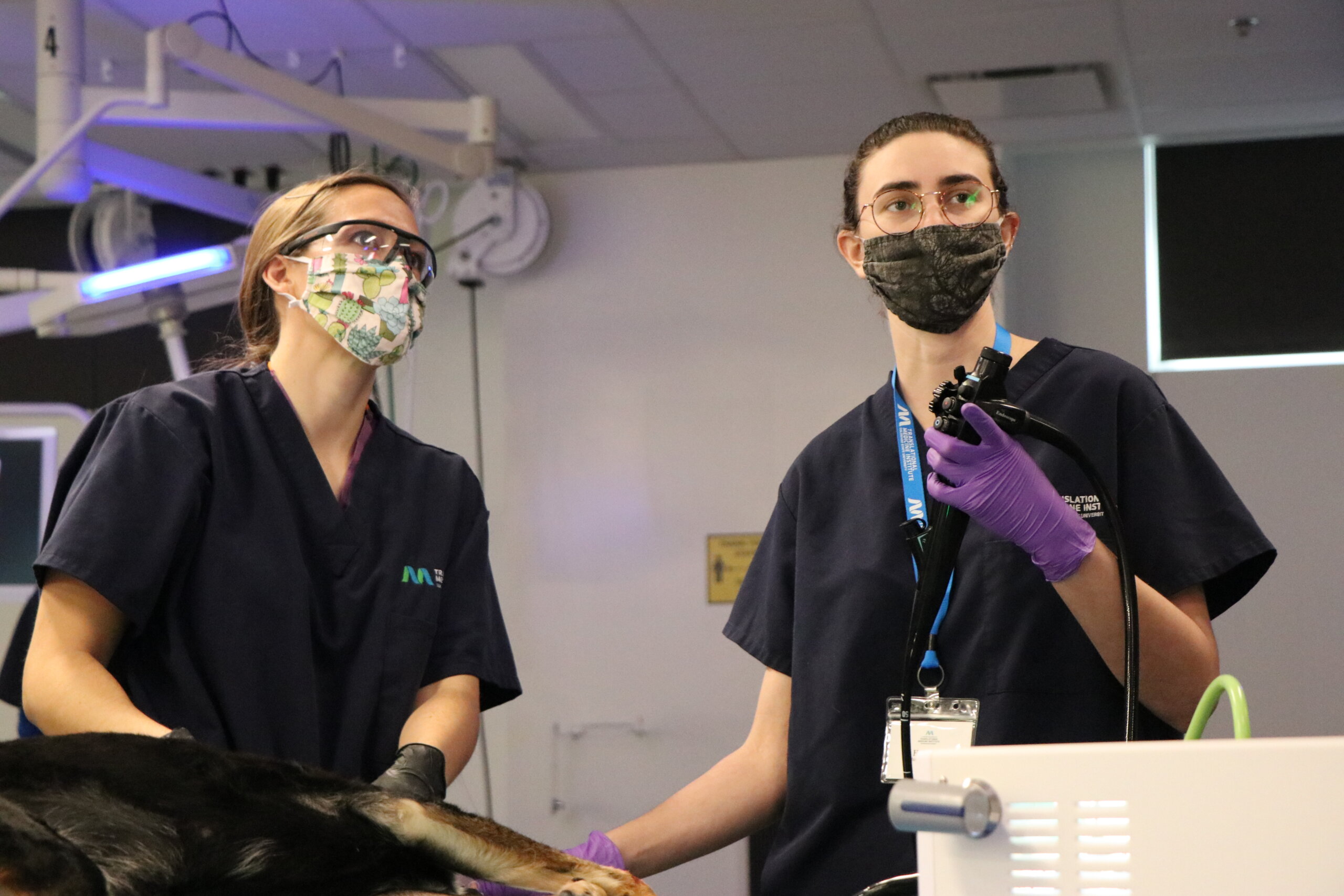  Flexible GI Endoscopy (Technicians) – Oct 18-19, 2026